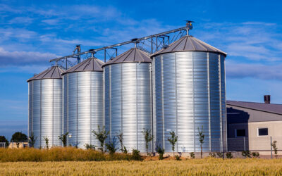 Functional Silos and What to do About Them