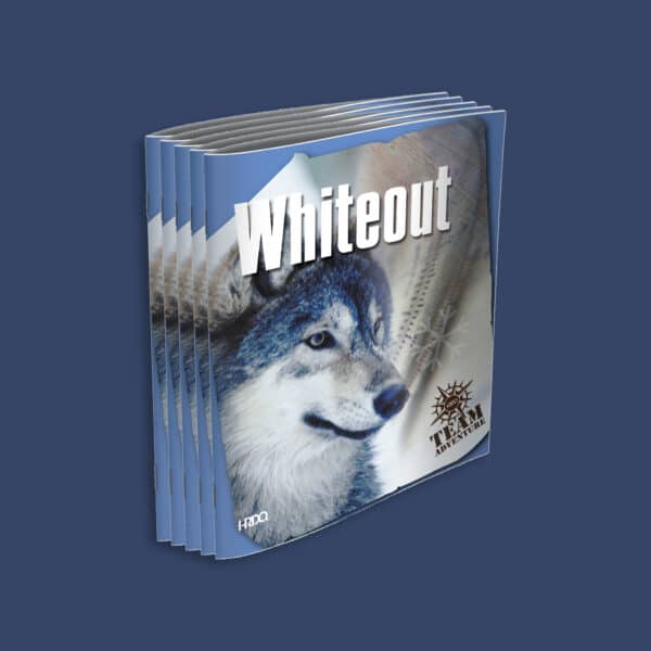 HRDQ Whiteout Participant Guide